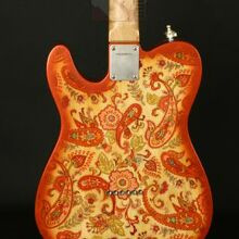 Photo von Nick Page Paisley Telecaster Bigsby (2006)